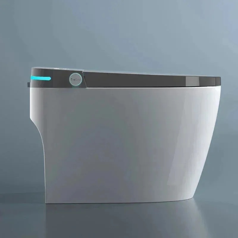 2026 Toilette Intelligente en  - Home One Bathroom Accessories avis et prix