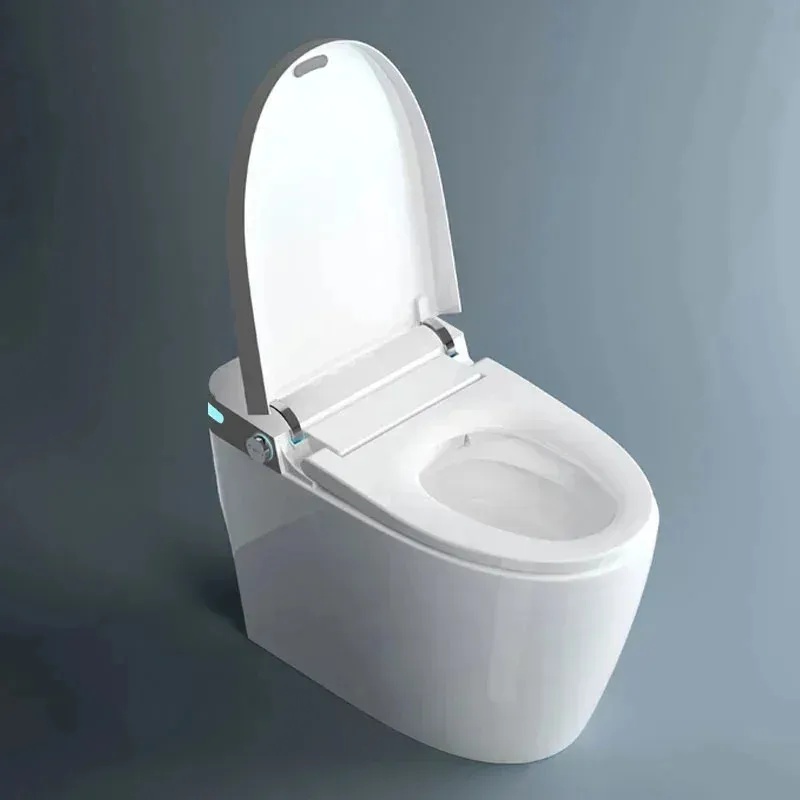 2026 Toilette Intelligente en  - Home One Bathroom Accessories avis et prix